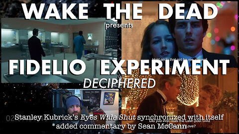 Fidelio Experiment deciphered