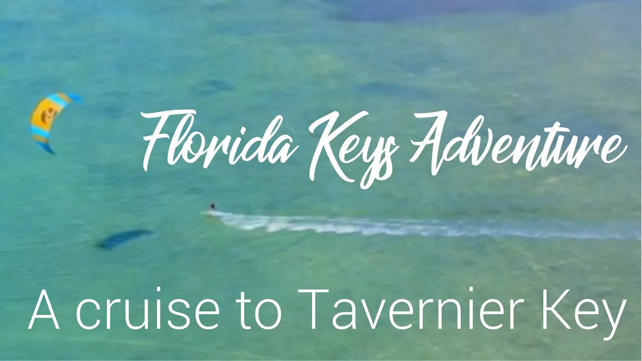 Boat cruise to Tavernier Key Sandbar in the Florida Keys!