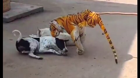 Troll Prank Dog,Fake Snake Vs Monkeys and Big Fake Lion Dog Prank Must Watch Funny Video