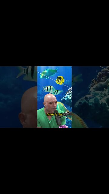 The Double Plural of Fish: Why You Should Say Fishes instead of Fish? Neil Degrasse Tyson Explains