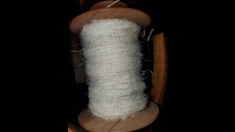 Spinning flax on a country craftsman spinning wheel!