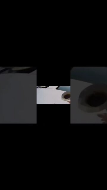 Things humans were never meant to see #shorts