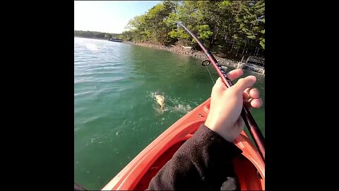 Smallmouth fishing