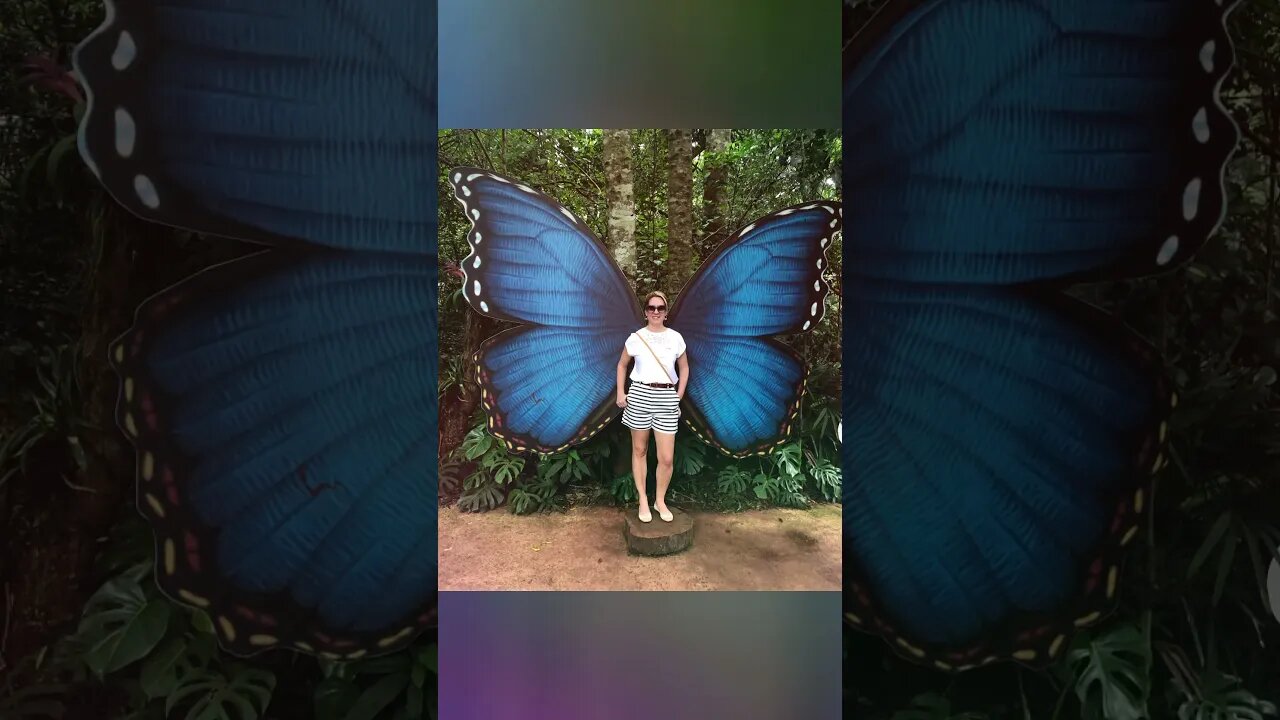 Parque das Aves and Itaipu dam in Foz do Iguaçu city - Brazil 🇧🇷