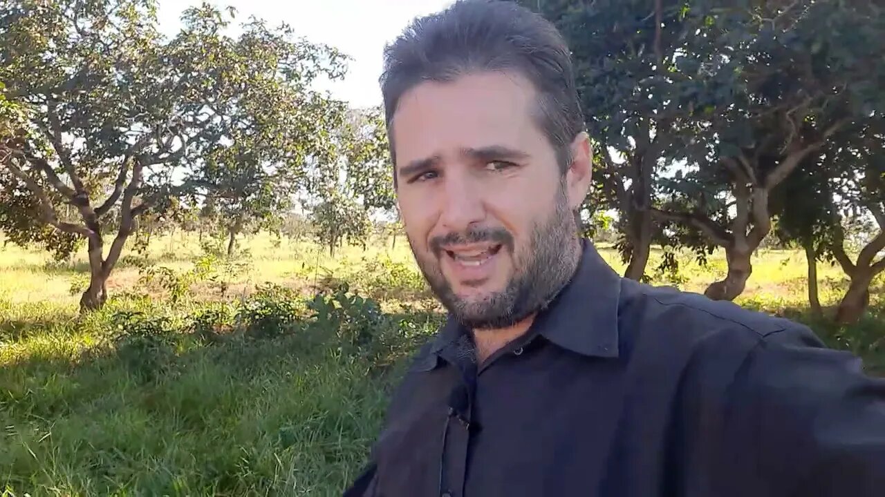 #periciajudicial O Perito pode ter uma equipe para lhe auxiliar?
