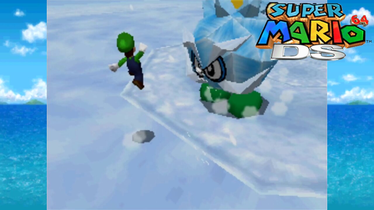 Super Mario 64 DS “Luigi’s Chilly Battle”