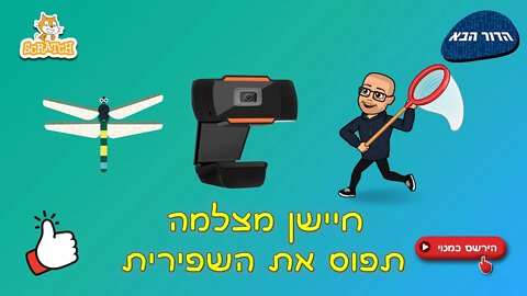 חיישן מצלמה - תפוס את השפירית בסקראץ'