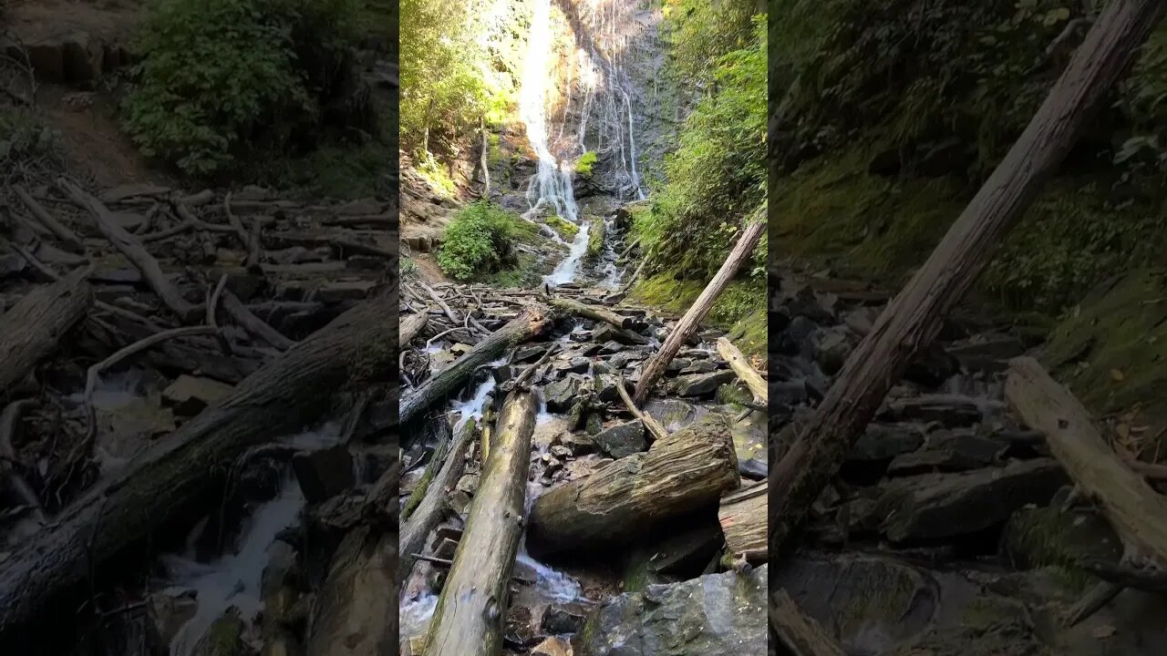 STUNNING waterfall in North Carolina! #shorts