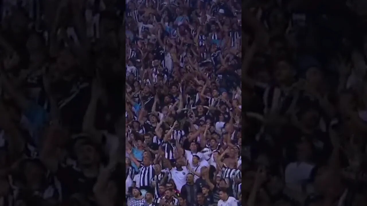 🔥🚨😱QUE MOMENTO! TORCIDA DO BOTAFOGO CALANDO A GLOBO! #botafogo #brasileirão #segueolíder