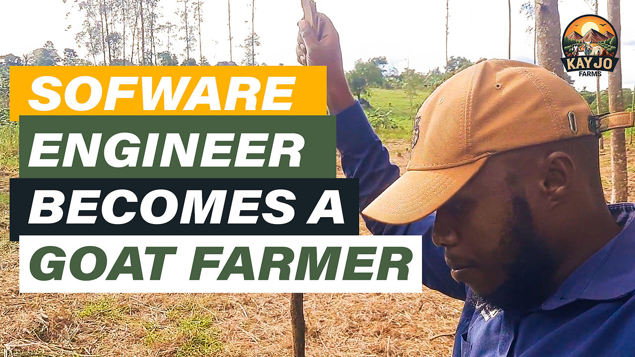 Software Engineer Becomes A Goat Farmer | ep1 #goatfarming #goats