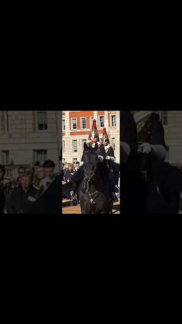 The Horse backs up #horseguardsparade