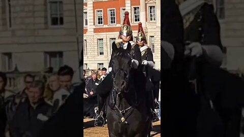 The Horse backs up #horseguardsparade