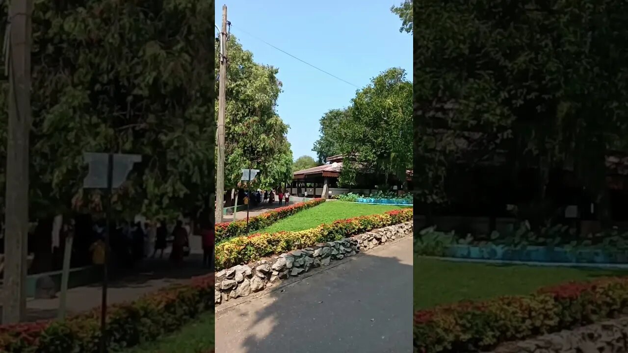 Nice Park and landscaping. 😆