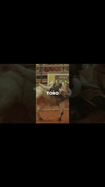 GRILLABEATS - "TORO"