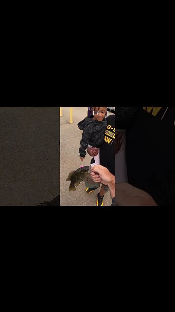 Lake Erie multi species bass on the Banshee baits!