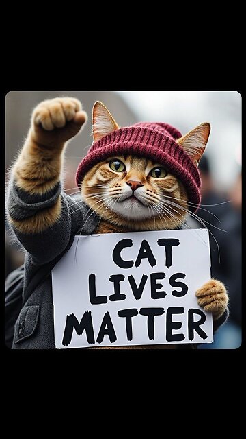 Funny Family Time Videos # 3