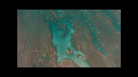 Say Goodbye to Maui’s Mother Reef