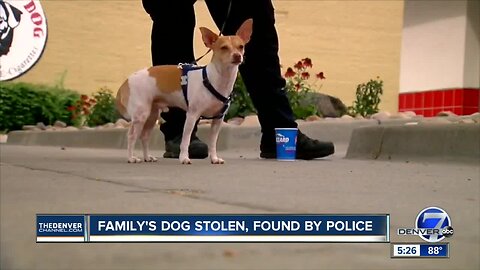 Dog taken by woman during man's seizure is found