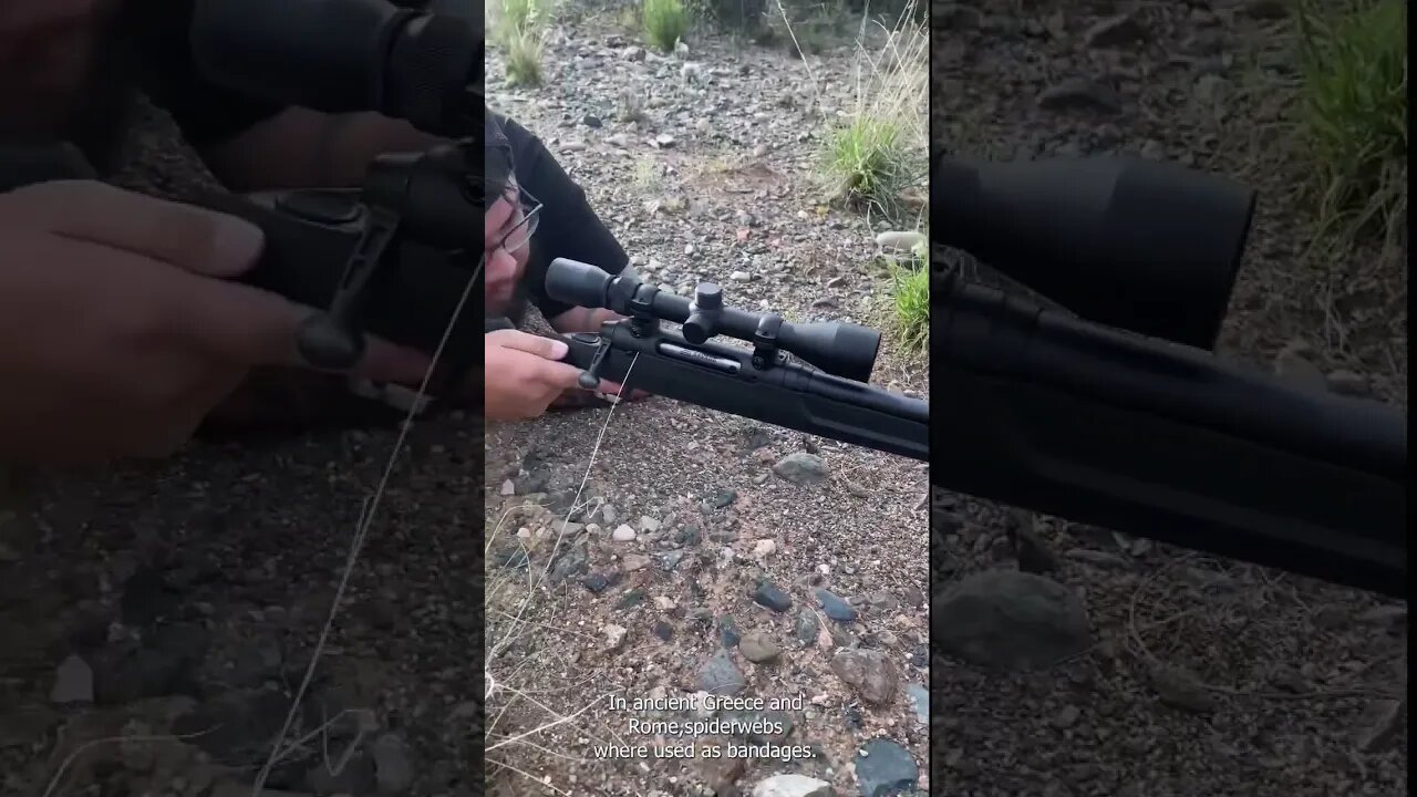 Scoped in Pt. 6! Did you know this about creepy crawlers #shorts #shooting #didyouknow #outdoors