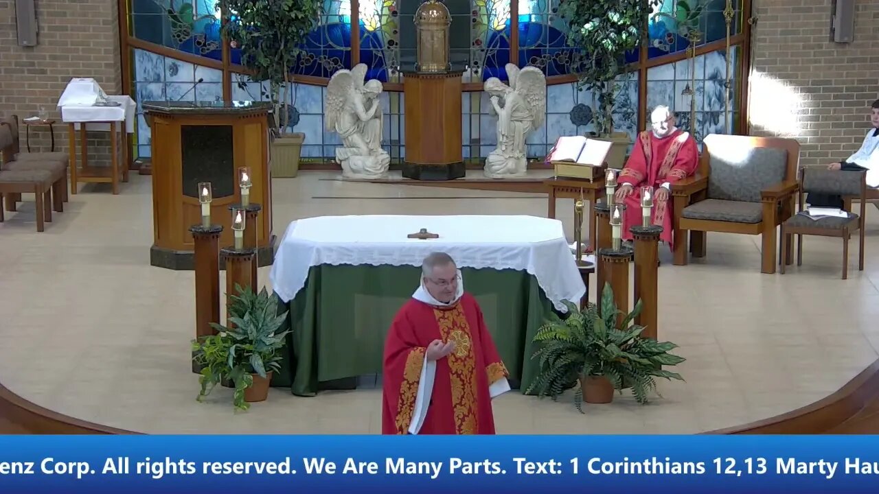 Gospel, Homily, Intercessions - Votive mass to the Holy Spirit