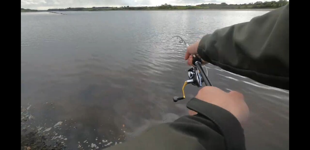 Estuary sea trout fishing on the Moy