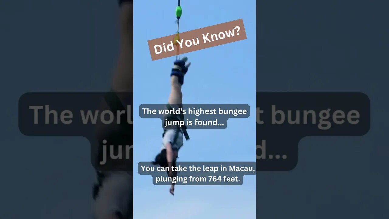 The world's highest bungee jump #creazyland#bunjeejumping #travel