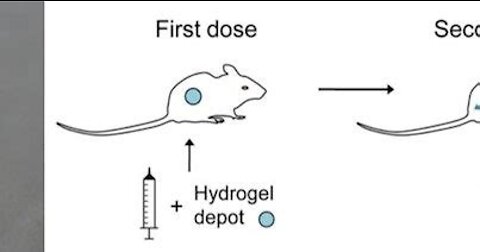 Celeste Solum Breaking News Graphene Hydrogel & Quantum Dot Application(mirrored)