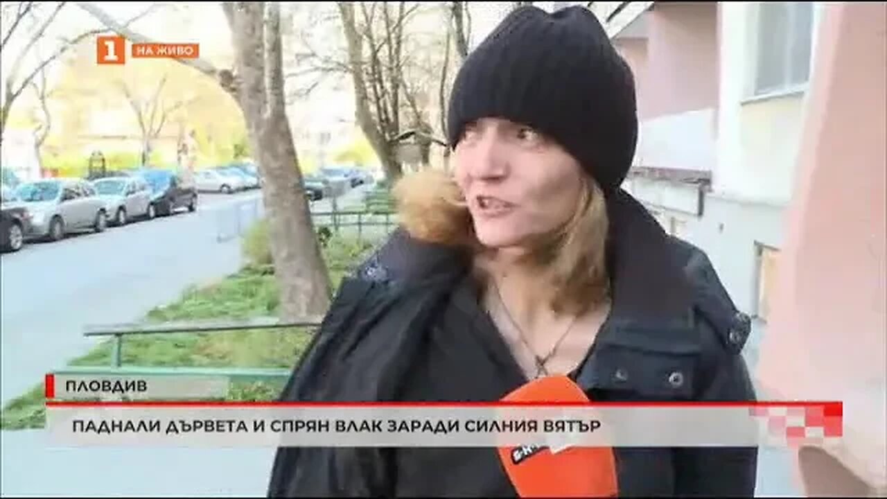 Паднали дървета и спрян влак заради силния вятър