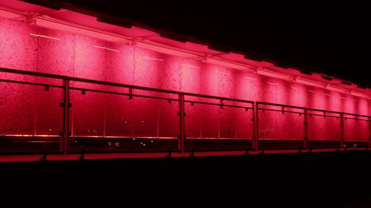 Virtual Poppy Honor Wall for Memorial Day