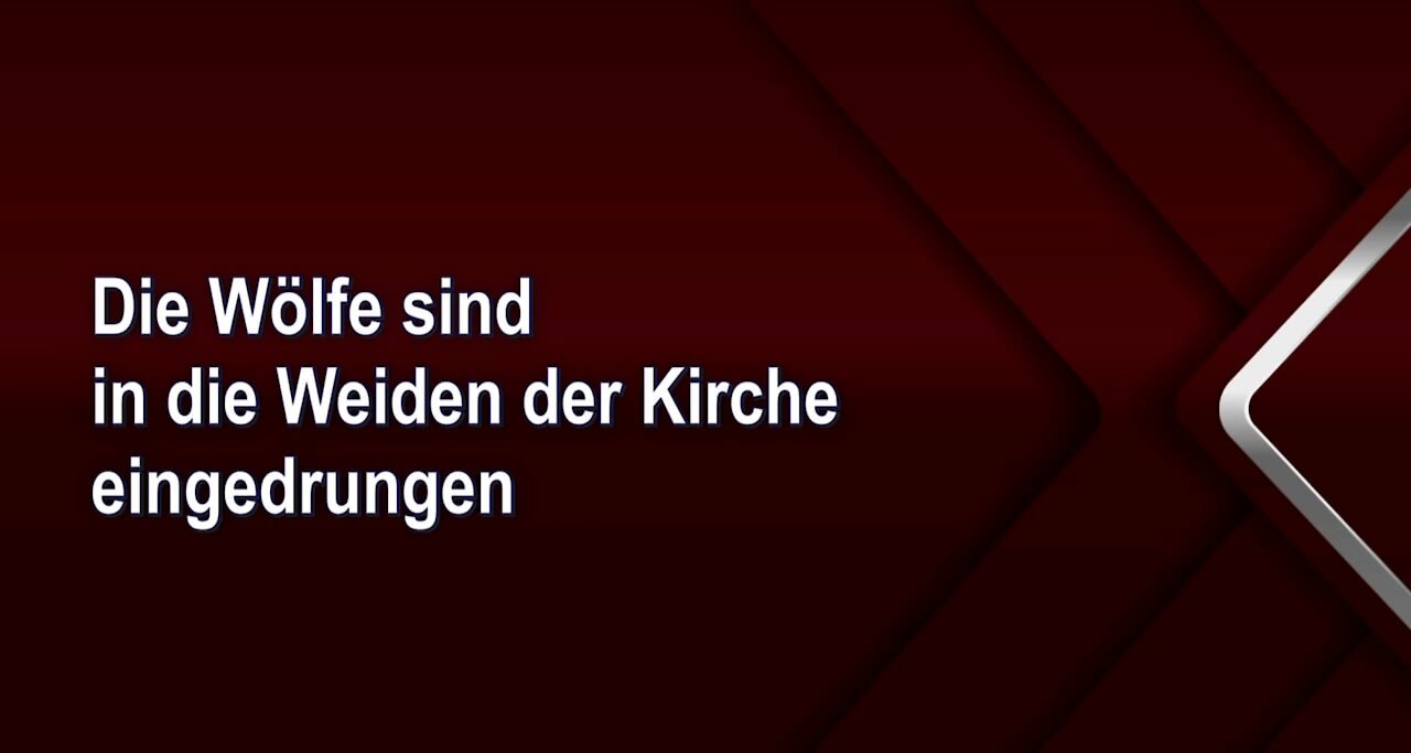 Die Wölfe sind in die Weiden der Kirche eingedrungen