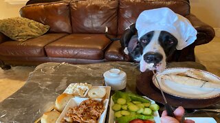 Great Dane Foodie Enjoys Rotisserie Chicken & Pulled Pork