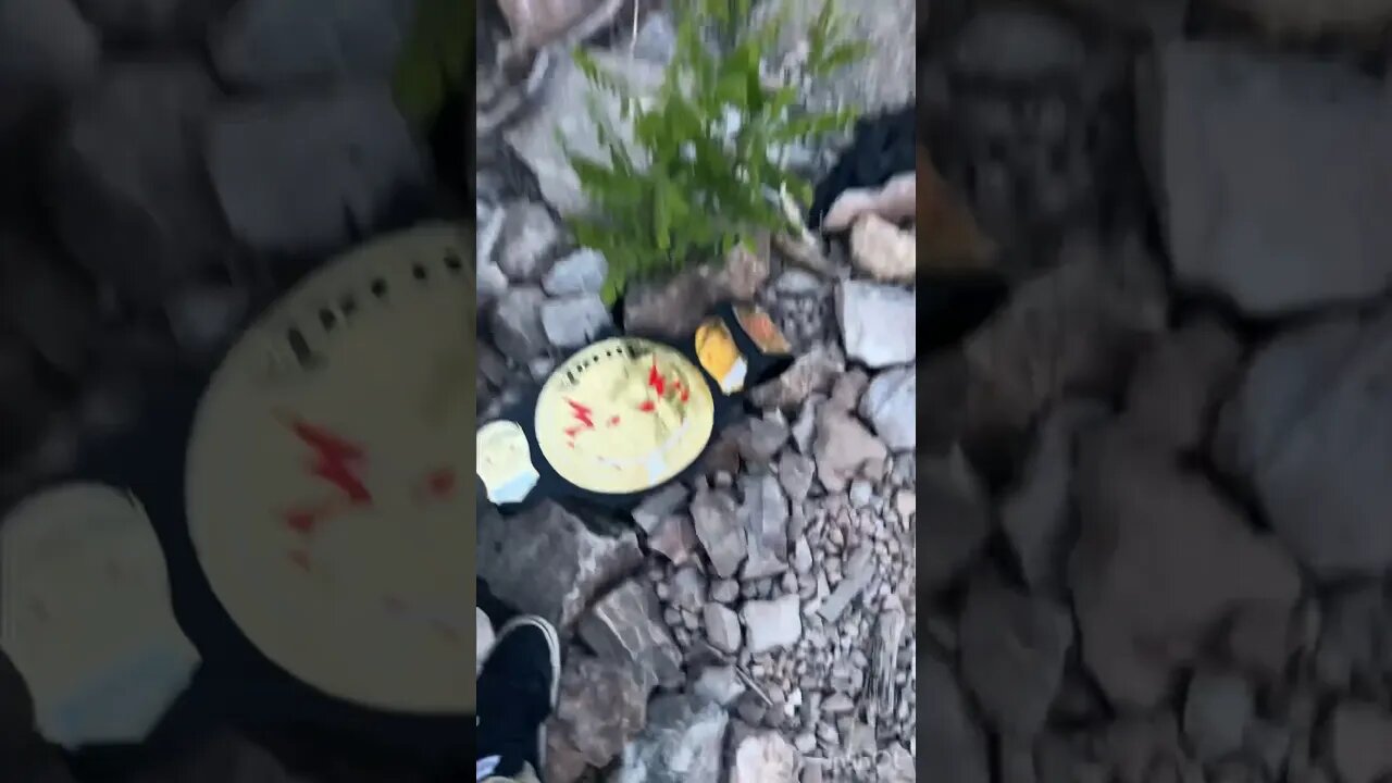 Bloopers Of The Throwing The Cheapest Replica Belt Into The River! #shorts
