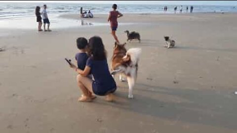 Cane cerca di marcare il territorio... addosso alle persone!