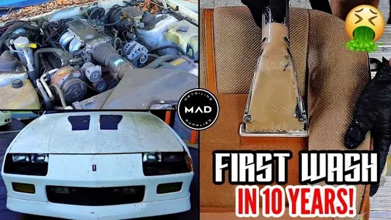 Disaster Barnyard Find | Extremely Moldy IROC-Z | First Wash In 10 Years | Car Detailing Restoration