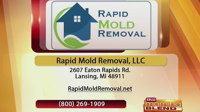 Rapid Mold Removal -11/30/16