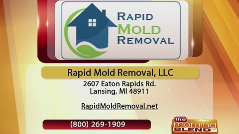 Rapid Mold Removal -11/30/16