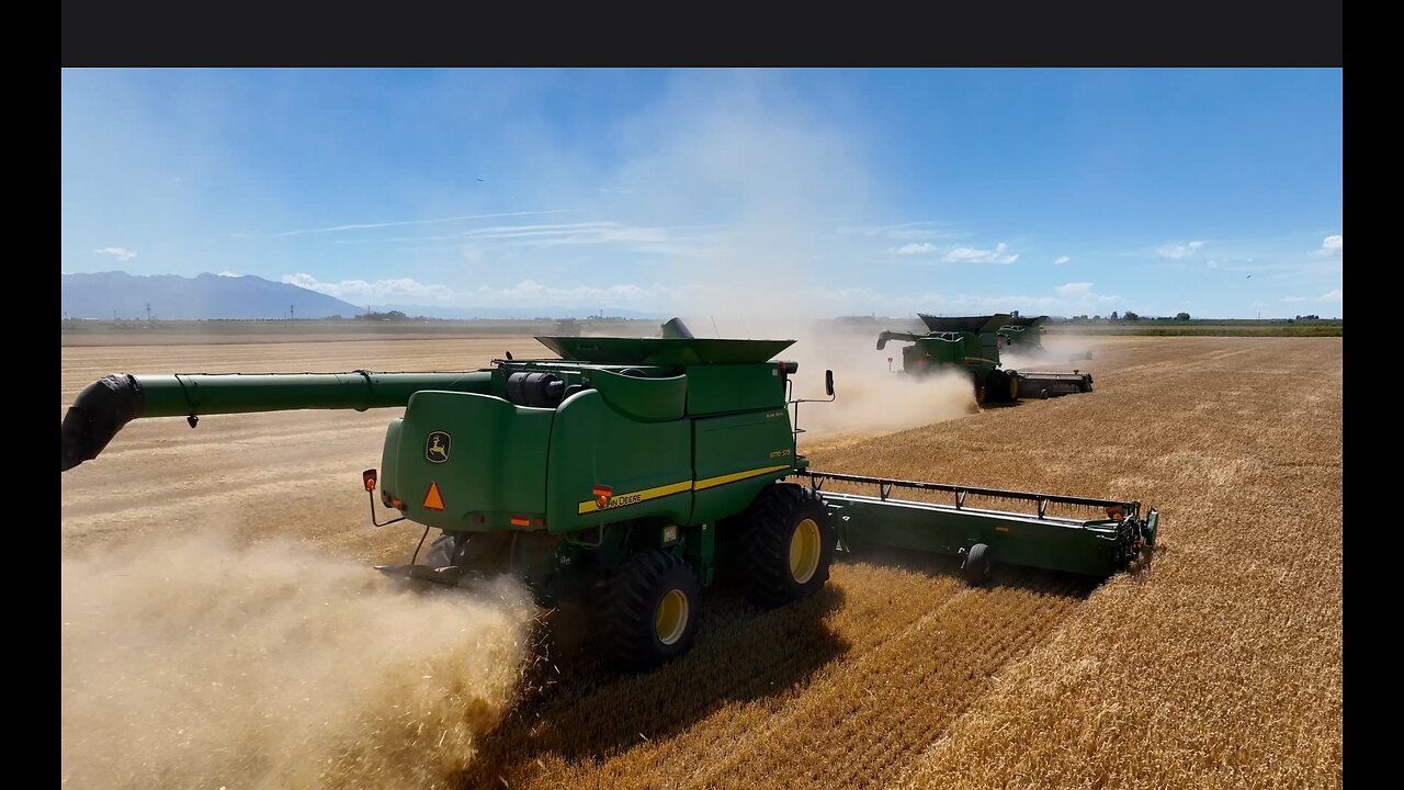 Ponderosa Barley Harvest