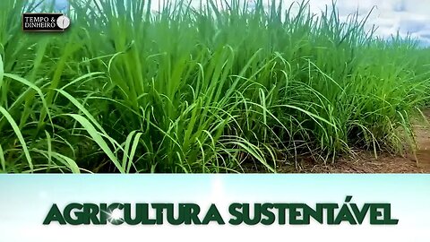 Agricultura Sustentável com Frederico Olivi