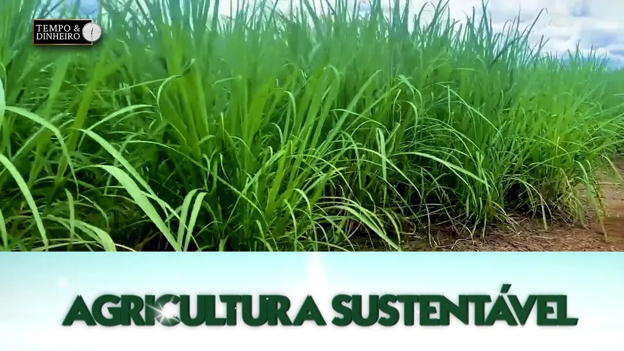 Agricultura Sustentável com Frederico Olivi
