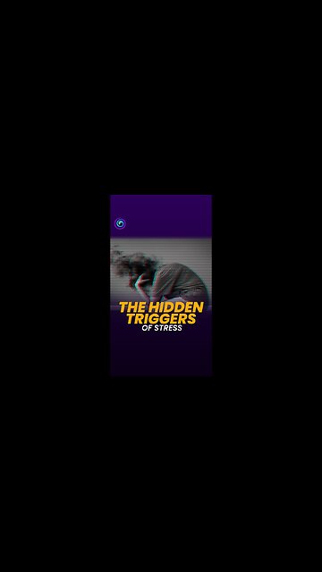 The Anatomy of Stress 🧠 explained by Dragon Vujovic