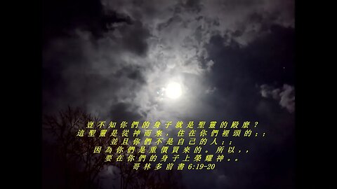 今天的每日聖經經文Jīntiān de měi rì shèngjīng jīng wén