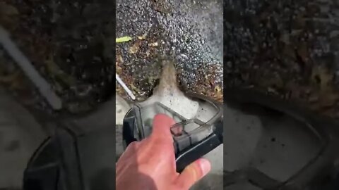 That was gross