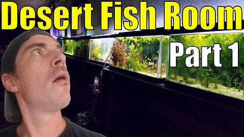 Discover a Unique Fish Room Hidden in the Desert Pt. 1