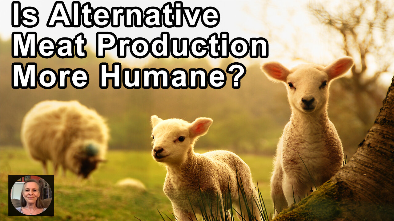 Is Alternative Animal Agriculture Sustainable? - Hope Bohanec