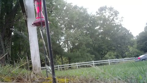 Close feed.......