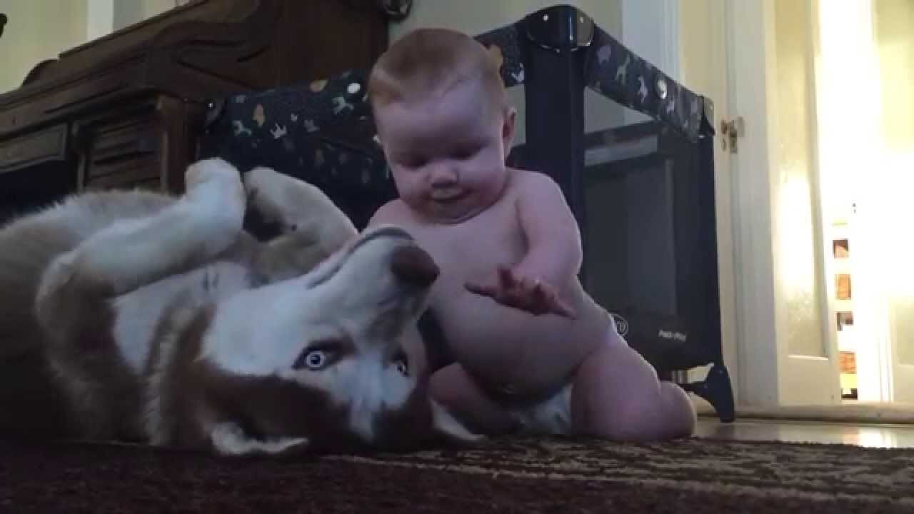 Baby and dog show love for one another