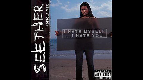 Seether - Disclaimer