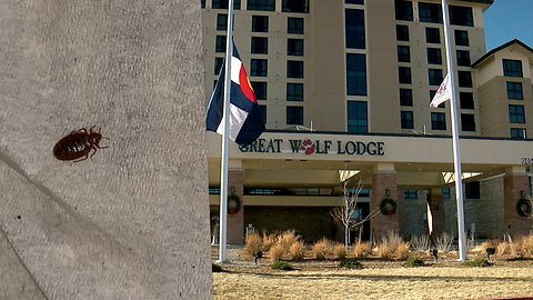 Popular Colorado resort disputes bed bug claims made in viral video