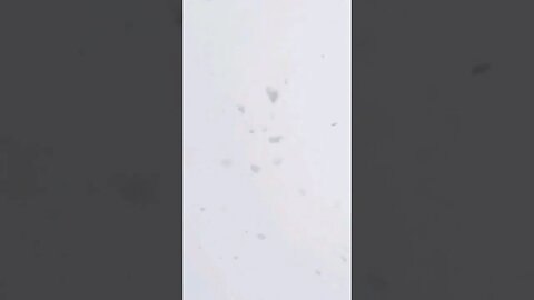 Snowflakes everywhere #shorts #nature #relaxingmusic