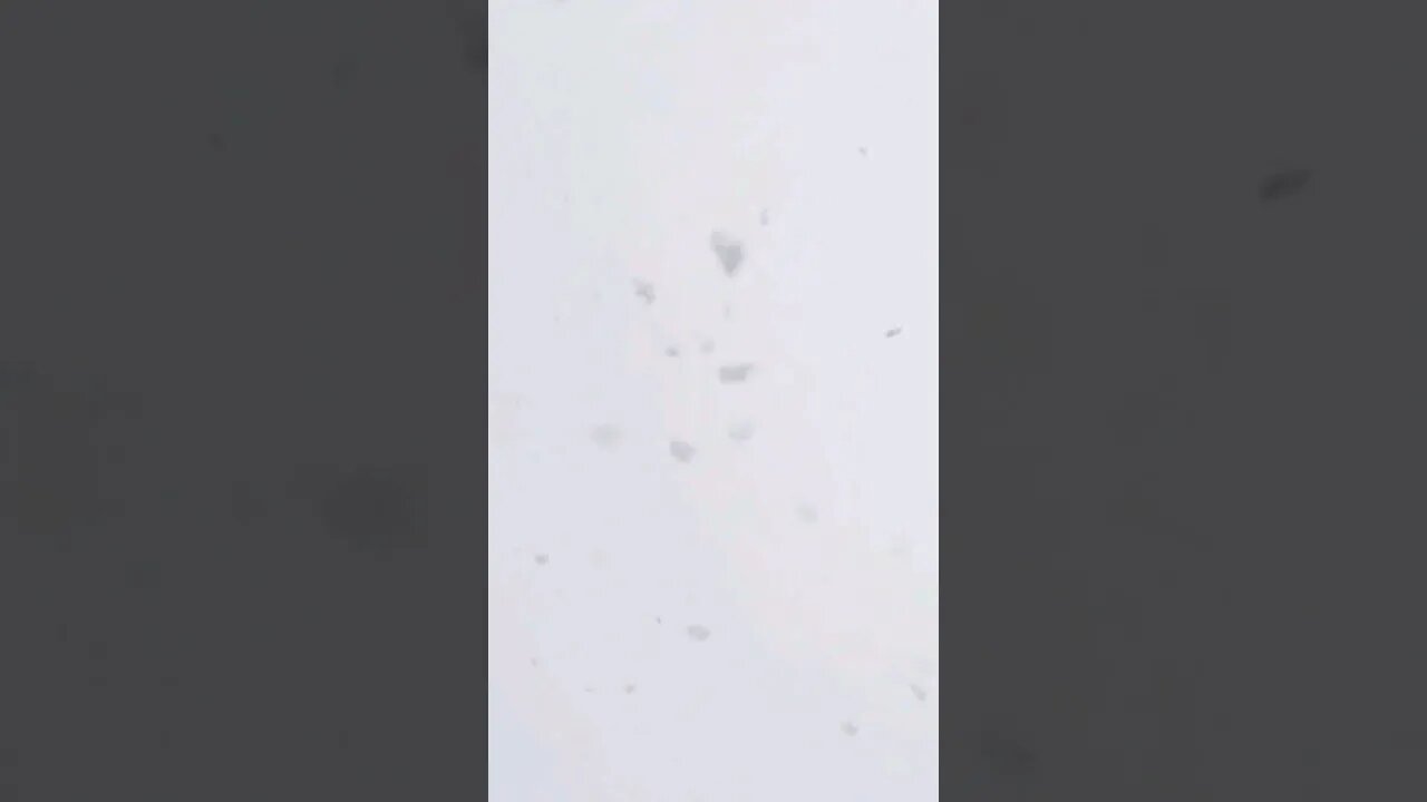 Snowflakes everywhere #shorts #nature #relaxingmusic